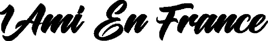 Lancement site 1AmiEnFrance.com